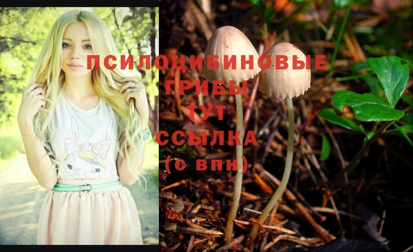молекула духа Армянск