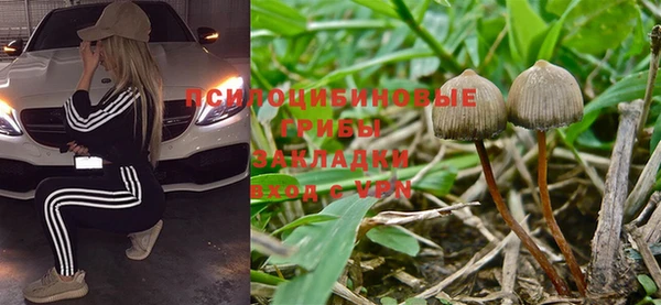 ALPHA-PVP Арсеньев